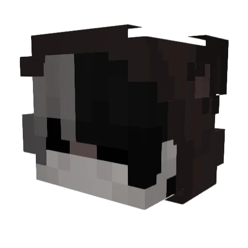 itssatire Minecraft avatar head, 3D render