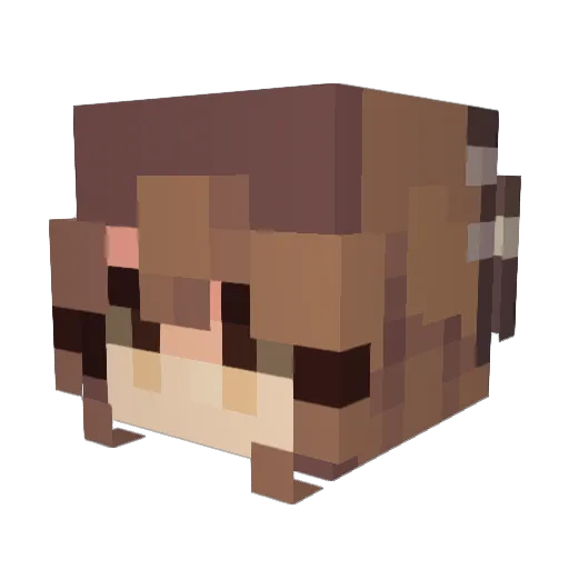 itssavvy11 Minecraft avatar head, 3D render