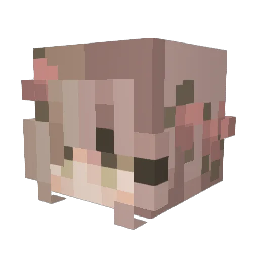 itsveronicat Minecraft avatar head, 3D render