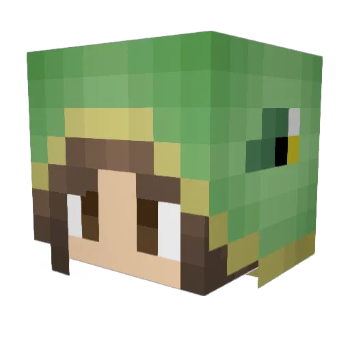 iturtle12 Minecraft avatar head, 3D render