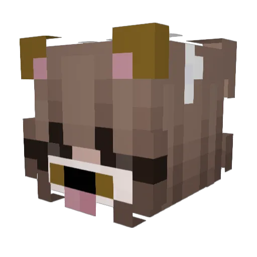 itz3lliana Minecraft avatar head, 3D render