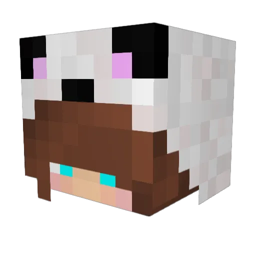 itzAlyssa Minecraft avatar head, 3D render