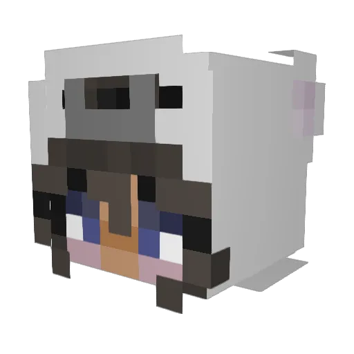 itzAnna23 Minecraft avatar head, 3D render