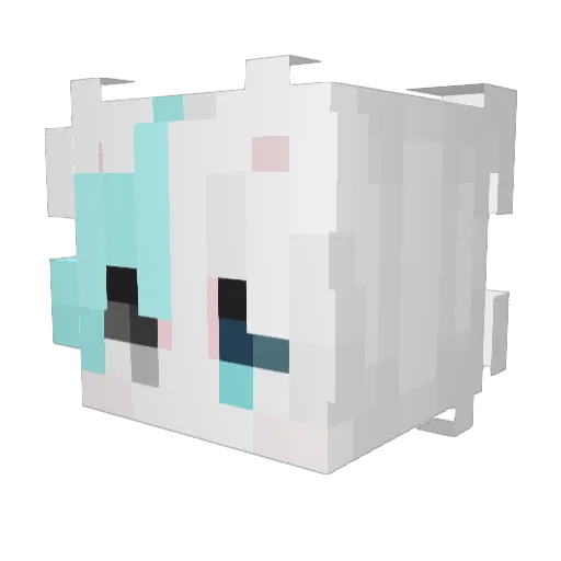 itzCoraa Minecraft avatar head, 3D render