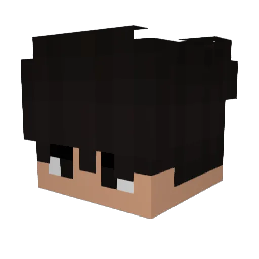 itzLeNoYT Minecraft avatar head, 3D render