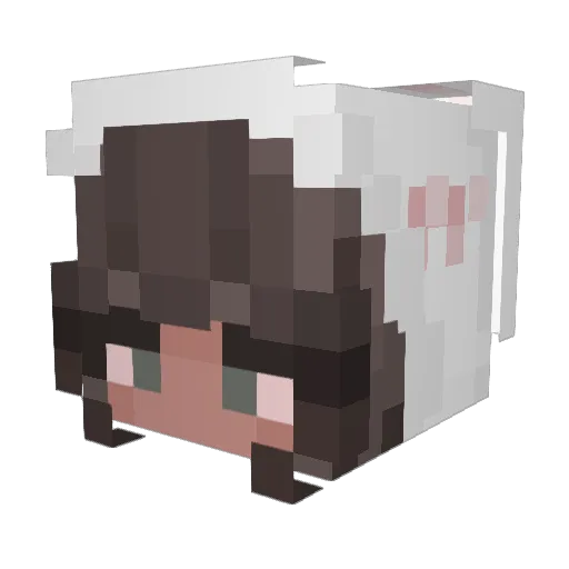itzRainboww14 Minecraft avatar head, 3D render