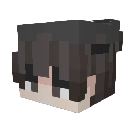 itzVazy_ Minecraft avatar head, 3D render