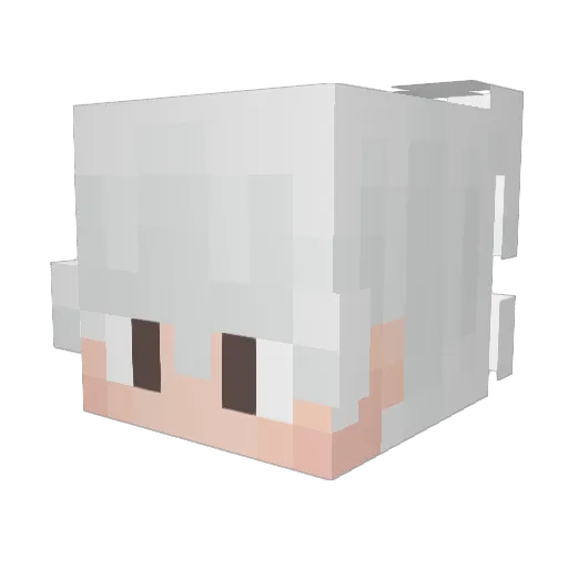 itz_amirmahdi Minecraft avatar head, 3D render