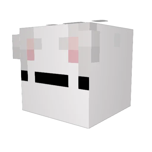 itz_grogu Minecraft avatar head, 3D render
