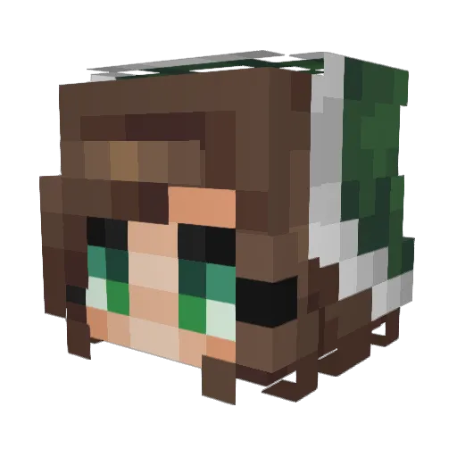 itz_parrow Minecraft avatar head, 3D render