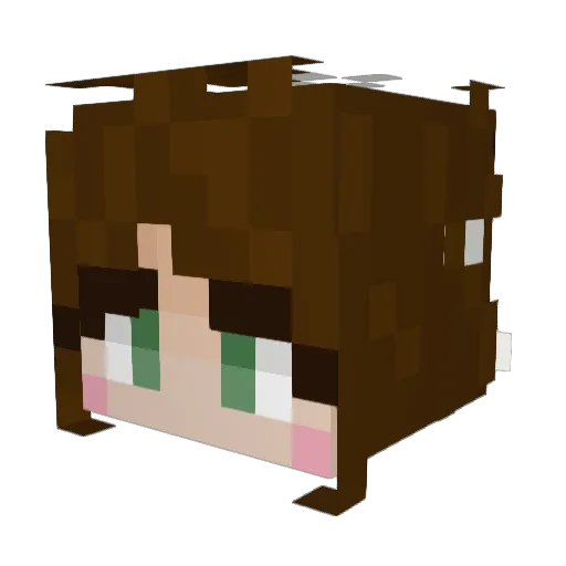 itz_sprout Minecraft avatar head, 3D render