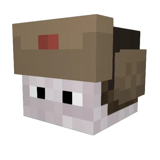 itzbor1zzz Minecraft avatar head, 3D render
