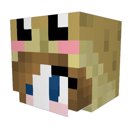 itzibitzi2 Minecraft avatar head, 3D render
