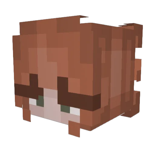 itzjustemily Minecraft avatar head, 3D render