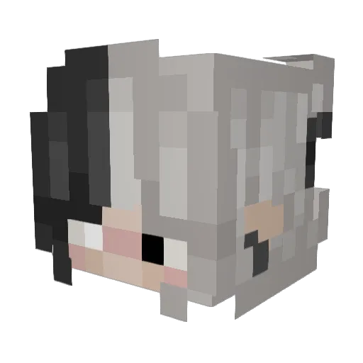 itzme200 Minecraft avatar head, 3D render
