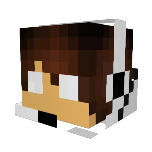 itzmeCoBalt Minecraft avatar head, 3D render