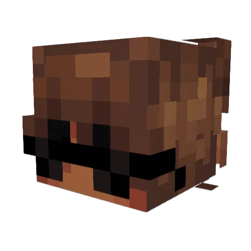 itznikoo Minecraft avatar head, 3D render