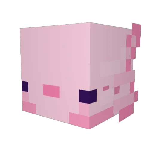itzsMCRayJR Minecraft avatar head, 3D render