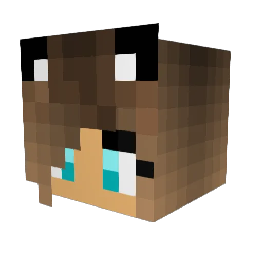 itzsunnivaplays Minecraft avatar head, 3D render