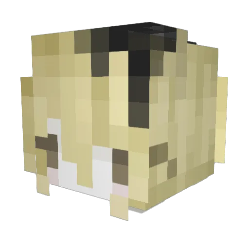 itzxue Minecraft avatar head, 3D render