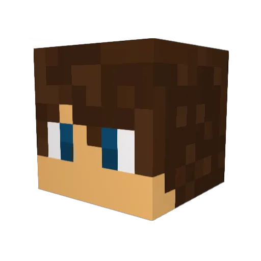itzzEllis Minecraft avatar head, 3D render