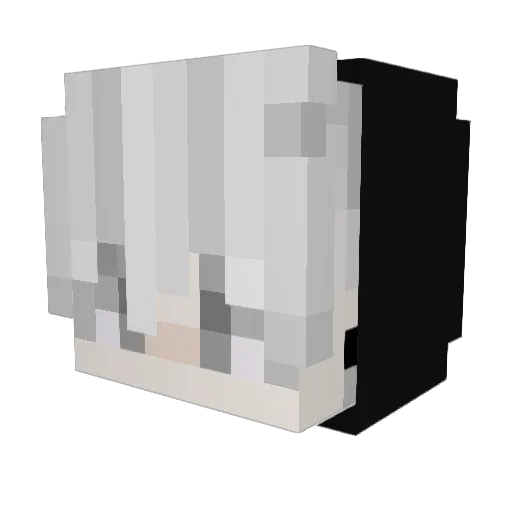 itzzz_Kaczka Minecraft avatar head, 3D render