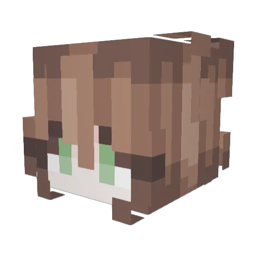 iukoi Minecraft avatar head, 3D render