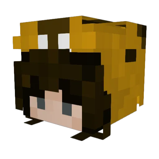 iulnisa Minecraft avatar head, 3D render