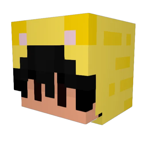 iuniper Minecraft avatar head, 3D render