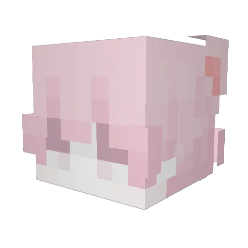 iusedoomsdayxd Minecraft avatar head, 3D render