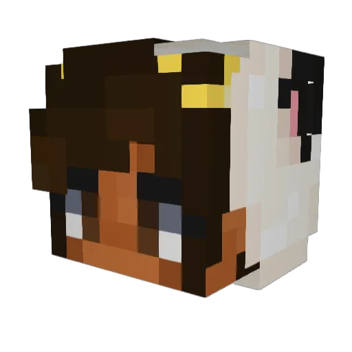 iuxrye Minecraft avatar head, 3D render
