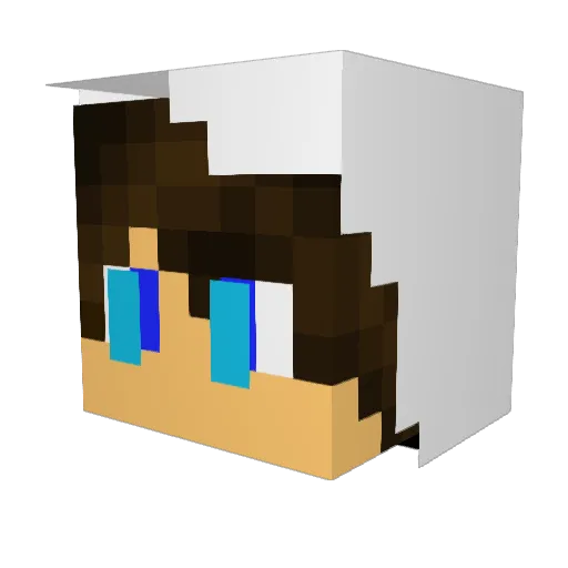 ivanvc1705 Minecraft avatar head, 3D render
