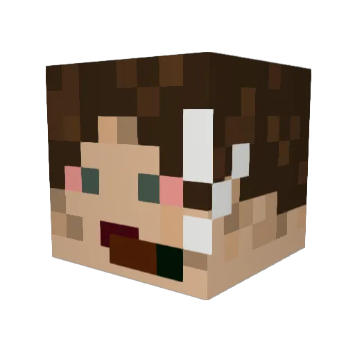 iver3559 Minecraft avatar head, 3D render