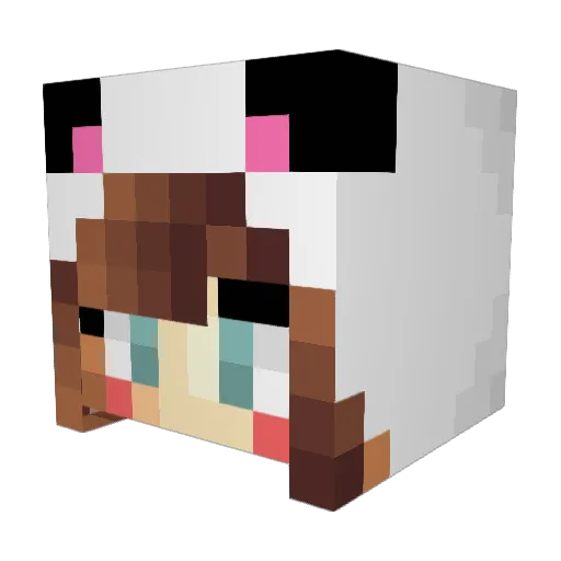 ivettchka Minecraft avatar head, 3D render