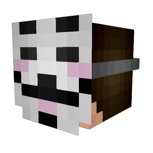 ivimar20 Minecraft avatar head, 3D render