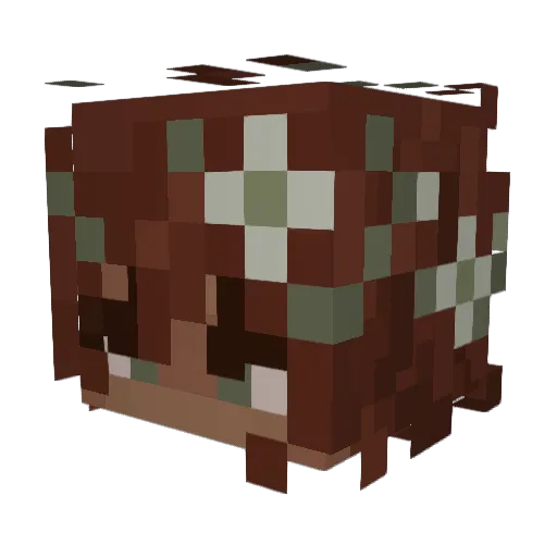 ivinillow Minecraft avatar head, 3D render