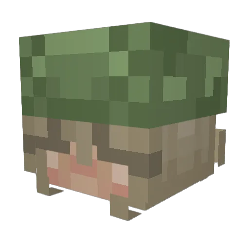 ivy_frogs Minecraft avatar head, 3D render