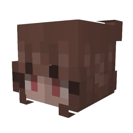 ivycoffin Minecraft avatar head, 3D render