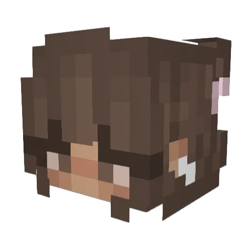 iw0nd3r Minecraft avatar head, 3D render