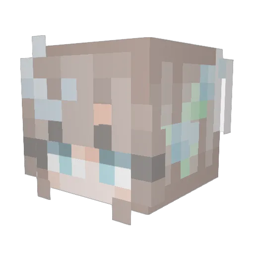 iwallhop Minecraft avatar head, 3D render