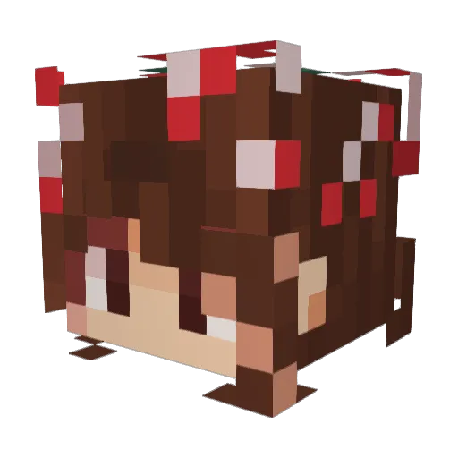 iwantjim Minecraft avatar head, 3D render