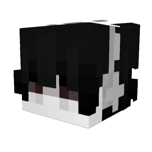 iwbfoy__ Minecraft avatar head, 3D render