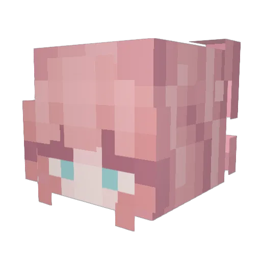 Minecraft-Avatar von iwea: Kopf als 3D-Render