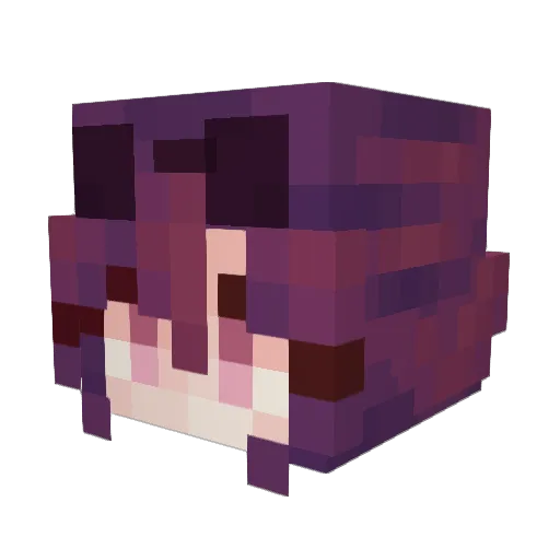 iwilleatursoup Minecraft avatar head, 3D render