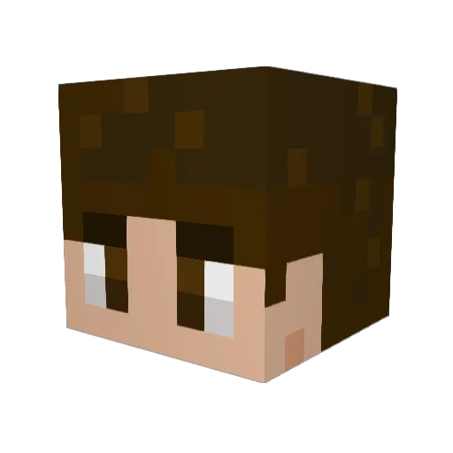 iwillwin2 Minecraft avatar head, 3D render