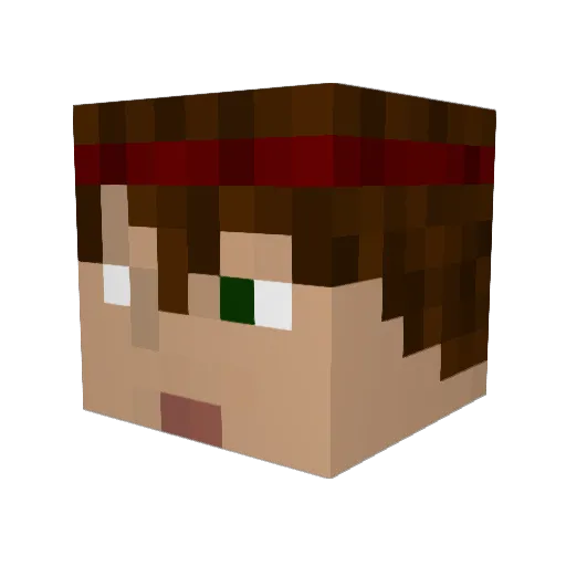 iwilsurvive Minecraft avatar head, 3D render