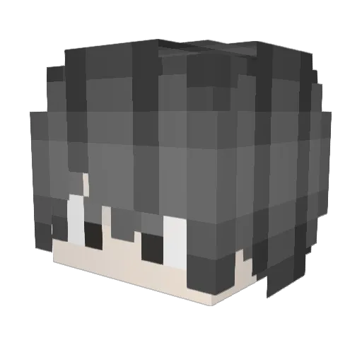 iwindd_ Minecraft avatar head, 3D render