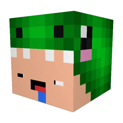 iwus_ Minecraft avatar head, 3D render