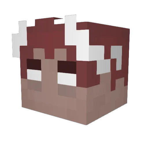 ixakov Minecraft avatar head, 3D render