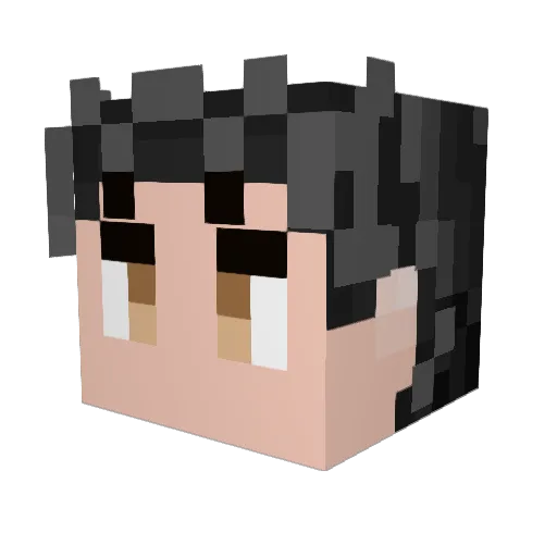 iyt8ig Minecraft avatar head, 3D render